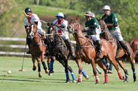 San Diego Polo